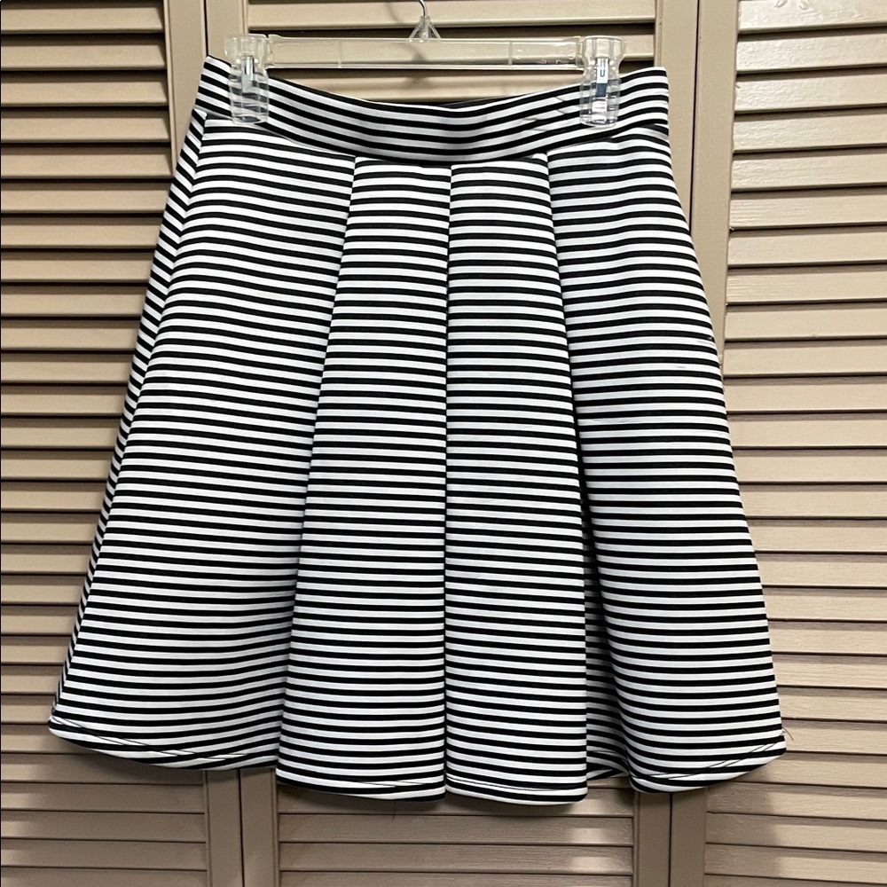 Fun Black and White Striped Skater Skirt